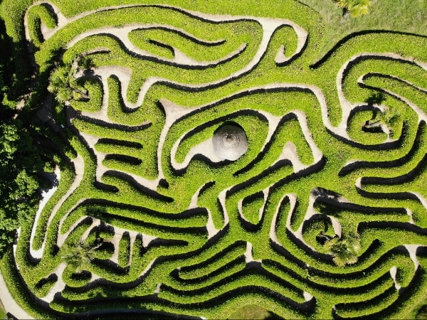 Glendurgan gardens maze