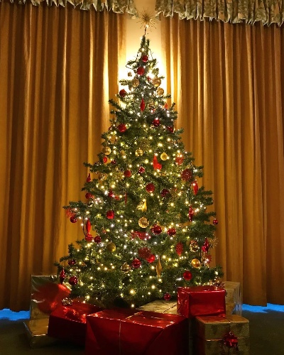 large christmas tree
